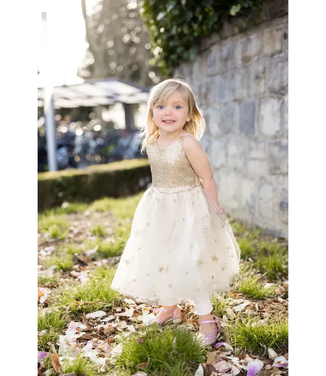 Great Pretenders Jurk Glam Party 5-6