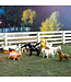 Safari Ltd 9 figuren set - Farm Animals