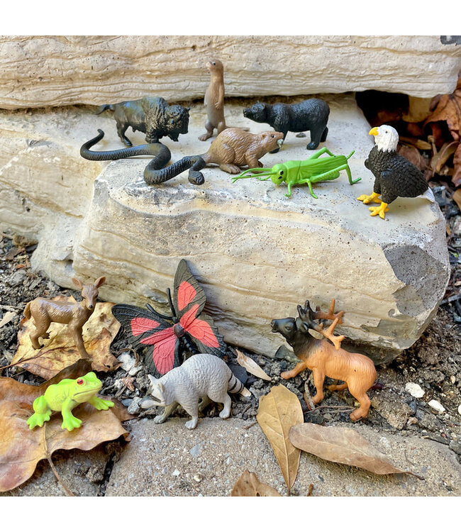 Safari Ltd 12 figuren set - In the woods