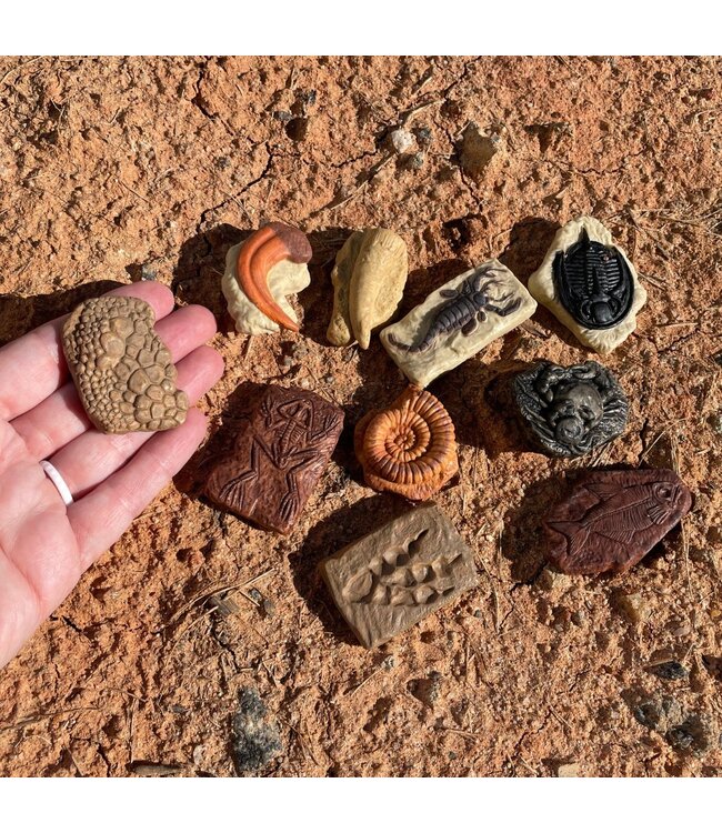 Safari Ltd 10 figuren set - Ancient Fossils
