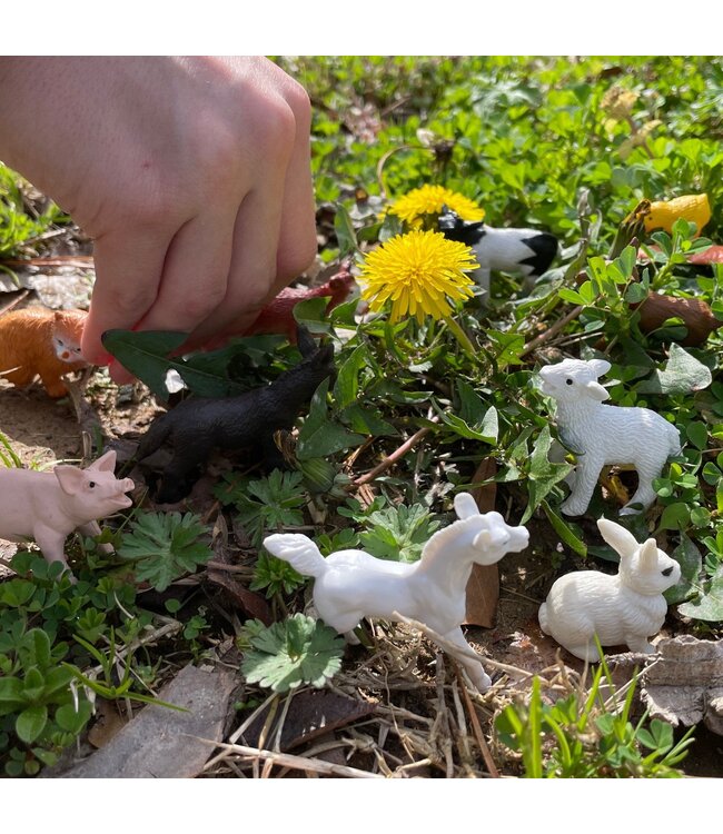 Safari Ltd 12 figuren set - Farm babies