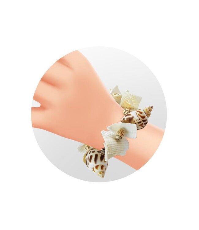 Buki Dig Kit - Schelpen