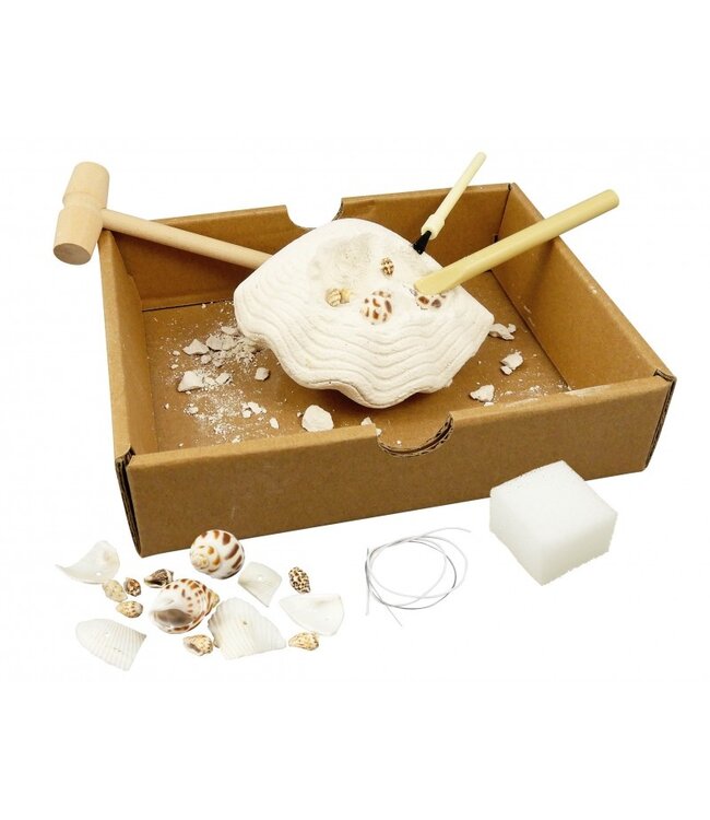 Buki Dig Kit - Schelpen