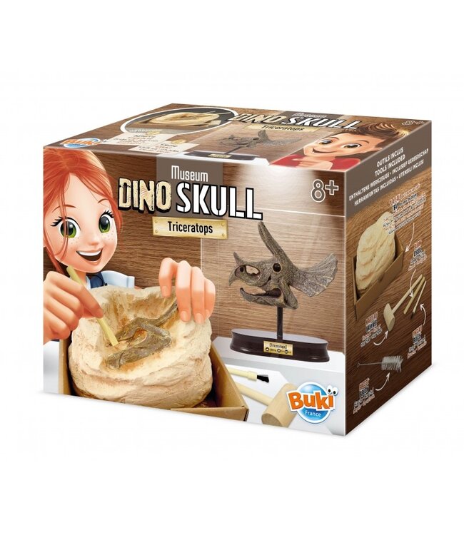 Buki Dig kit - Triceratops Schedel