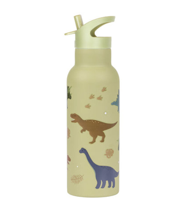ALLC XL Rvs Drinkfles Dinosaurussen