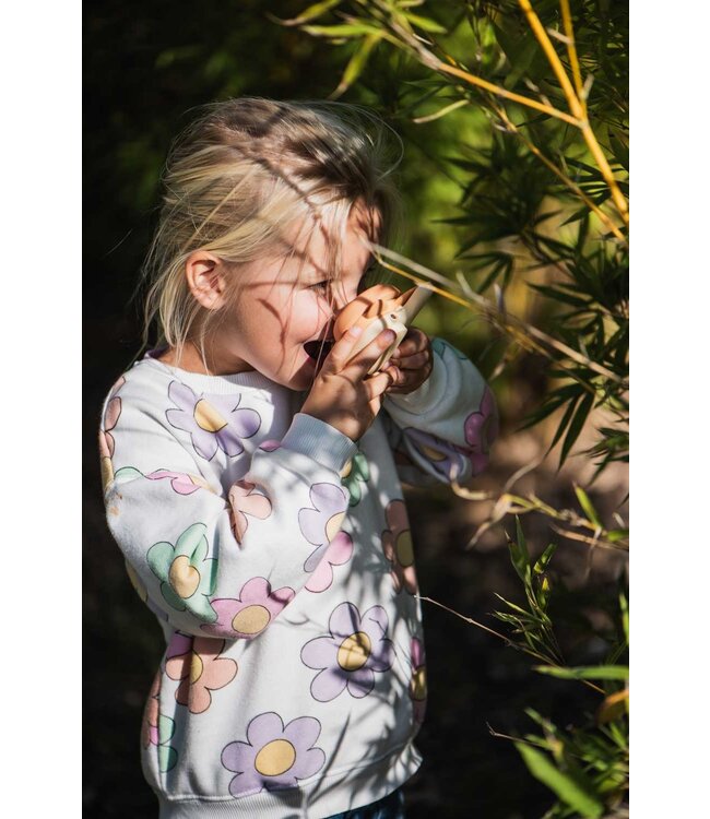 The Zoofamily Walkie Talkie - Vos