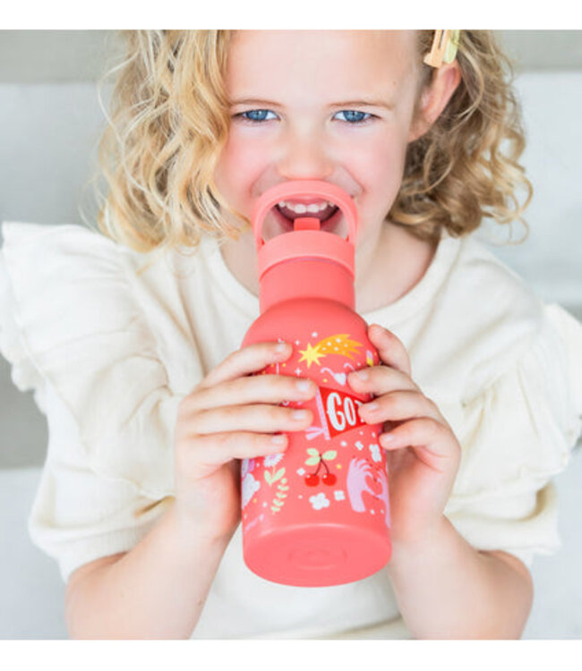 ALLC Rvs Drinkfles Fun