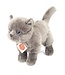 Hermann Teddy Kat Grijs