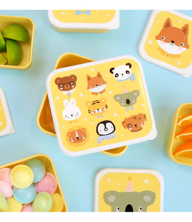 ALLC Snackbox Dieren