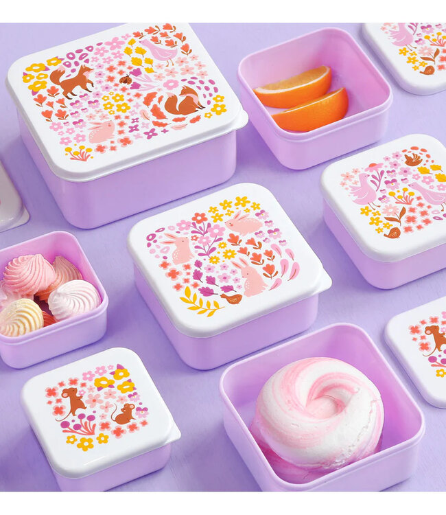 ALLC Snackbox Flower Garden