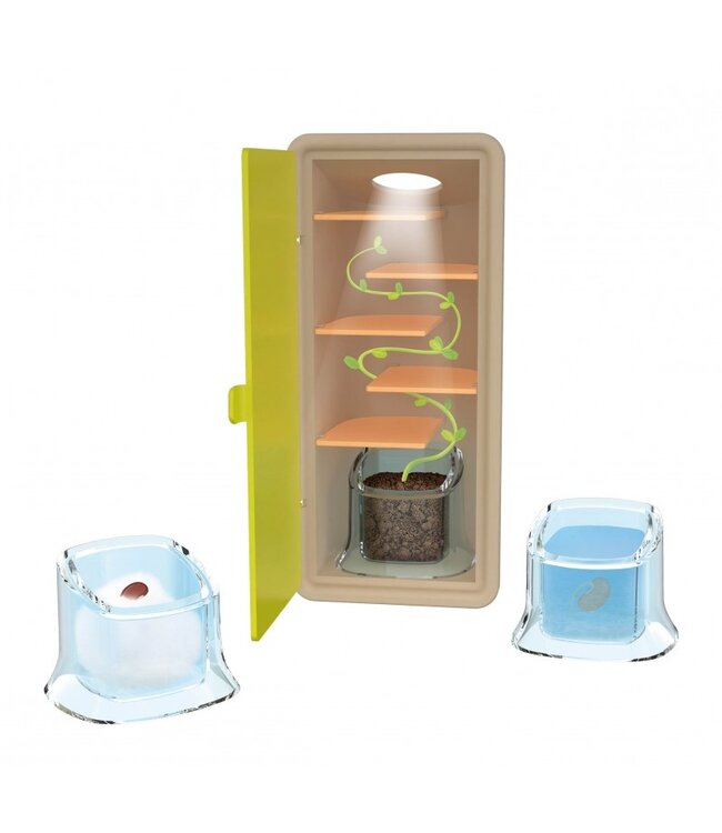 Buki Kleine scheuten