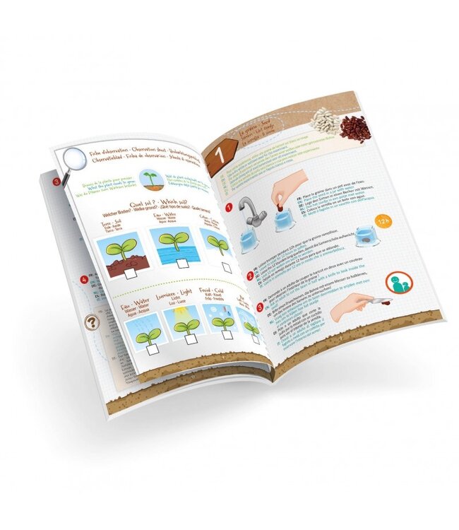 Buki Kleine scheuten