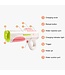 Waterpistool Electric Gun Blue