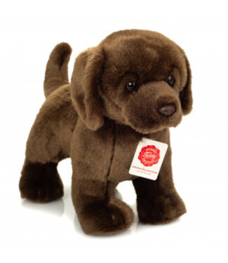 Hermann Teddy LabradorBruin