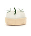 Jellycat Amuseables Camembert
