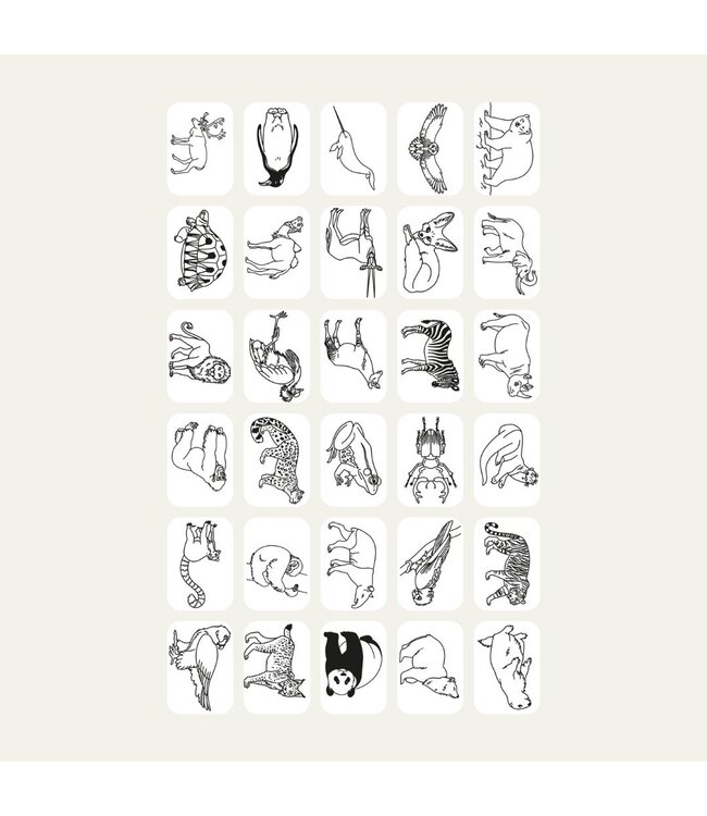 Kidywolf Kidydraw Mini Refill Animals-Pirates