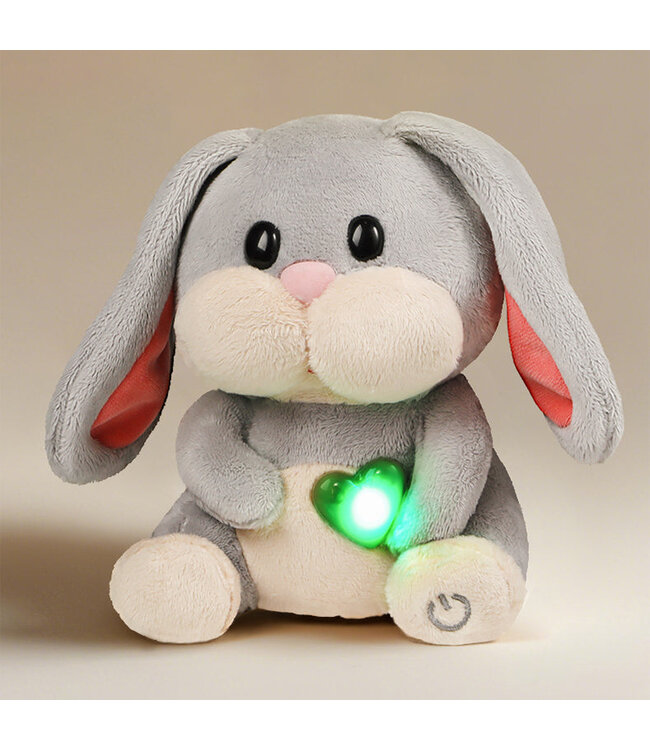TOPBright Care Pets Bunny