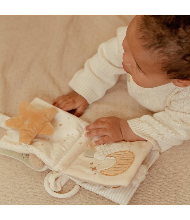 Little Dutch Buggy Boekje Goose