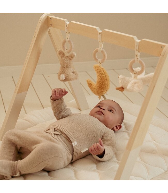 Little Dutch  Babygym Goose/Bunny