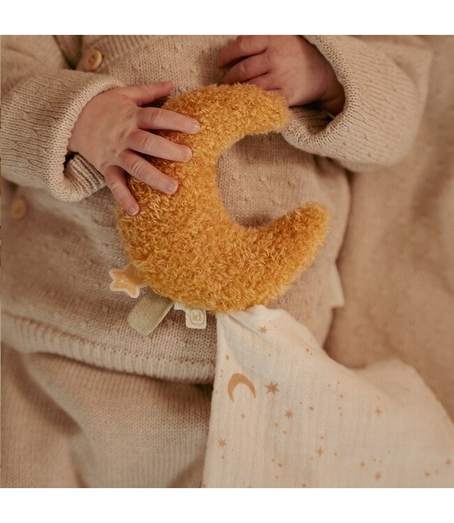 Little Dutch Giftset Newborn Goose