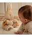 Little Dutch Activiteitenknuffel Baby Bunny