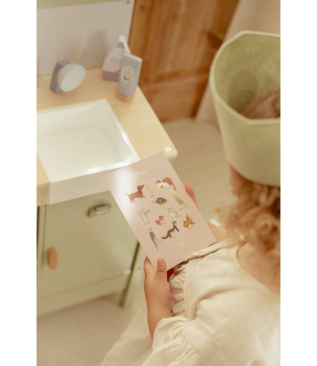 Little Dutch Houten Dierenartspraktijk FSC