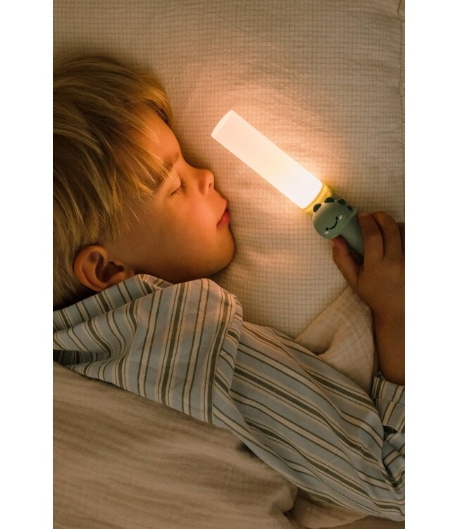 The Zoofamily Zoo Light - Dino