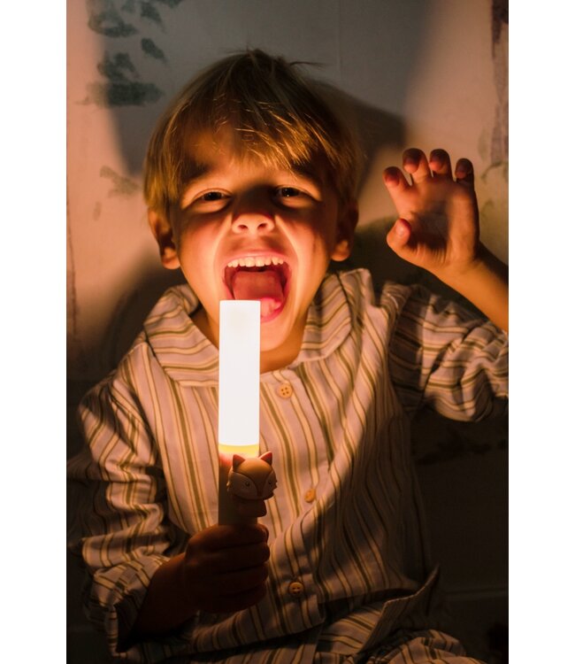 The Zoofamily Zoo Light - Vos