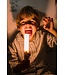 The Zoofamily Zoo Light - Vos