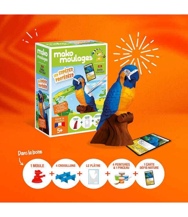 Mako Moulages Papegaai - S