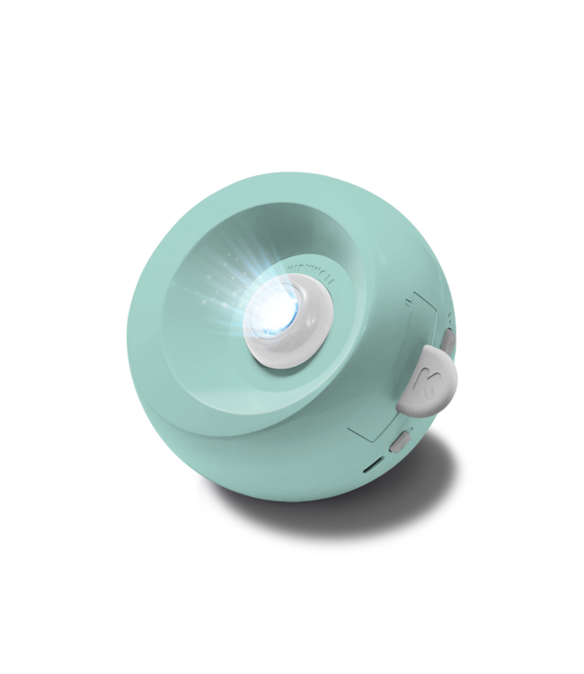 Kidywolf Kidystar Ocean