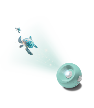 Kidywolf Kidystar Ocean