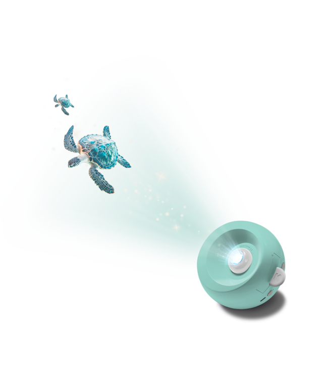 Kidywolf Kidystar Ocean