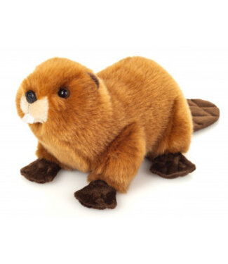 Hermann Teddy Bever