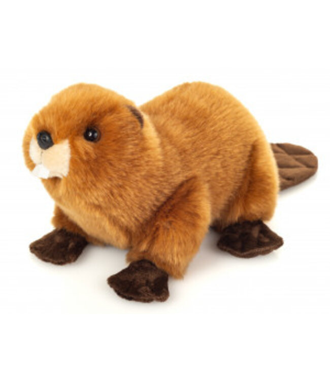 Hermann Teddy Bever