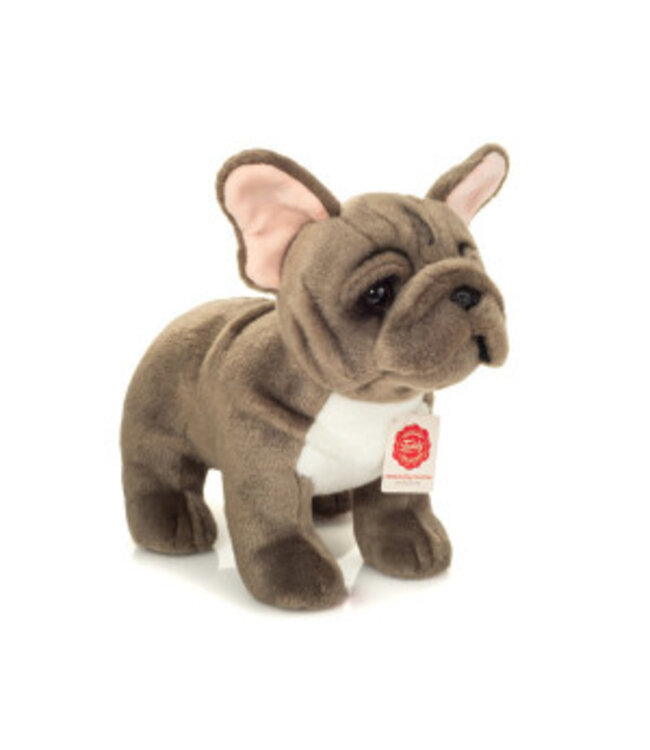 Hermann Teddy Franse Bulldog
