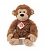 Hermann Teddy Aap Ricky