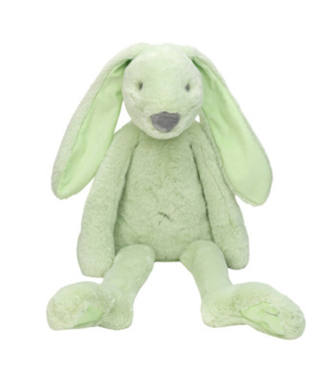 Happy Horse Konijn Pistache Eco