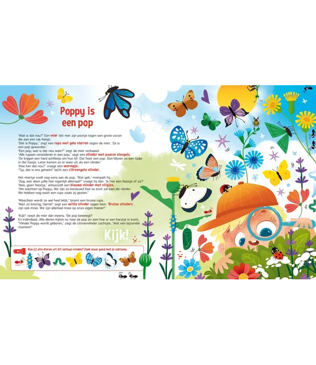 De Lantaarn Speuren naar Vlinders