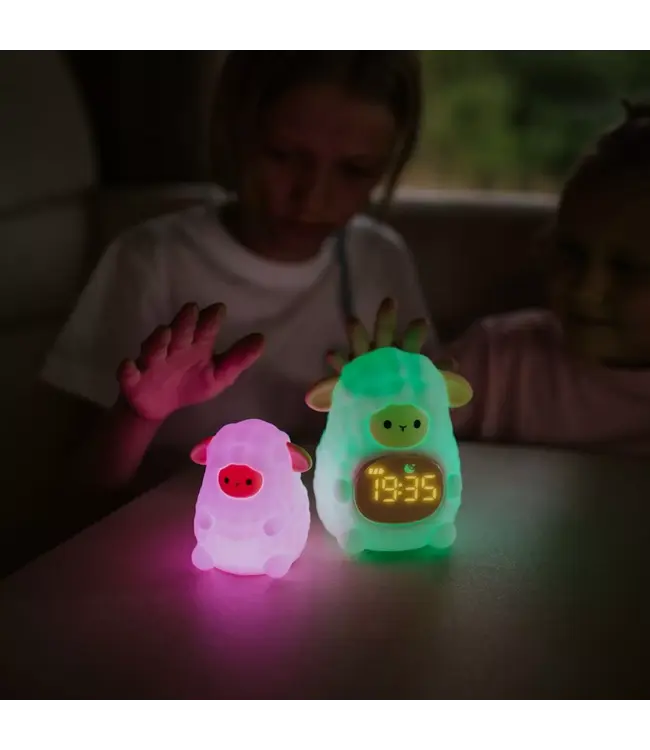 Mary's Klok Peer Geel