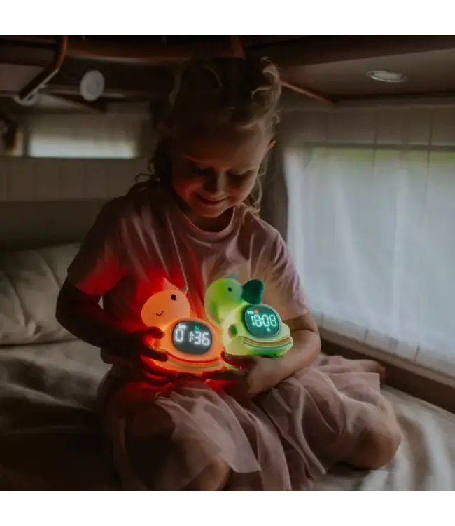 Mary's Klok Rocking Unicorn