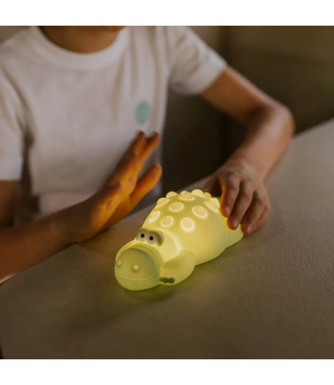 Mary's Pop it Crocodile