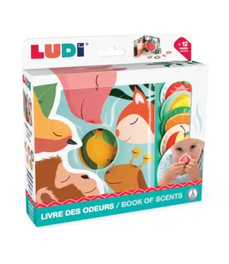 Ludi Geurboekje