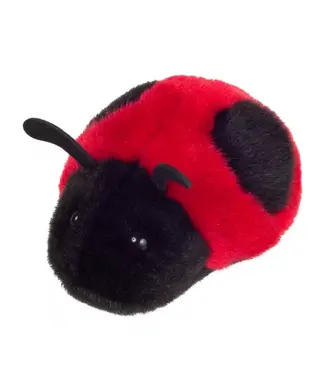 Hermann Teddy Lieveheersbeestje