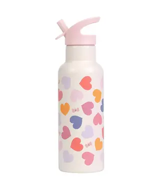 ALLC XL RVS drinkfles: Hartjes