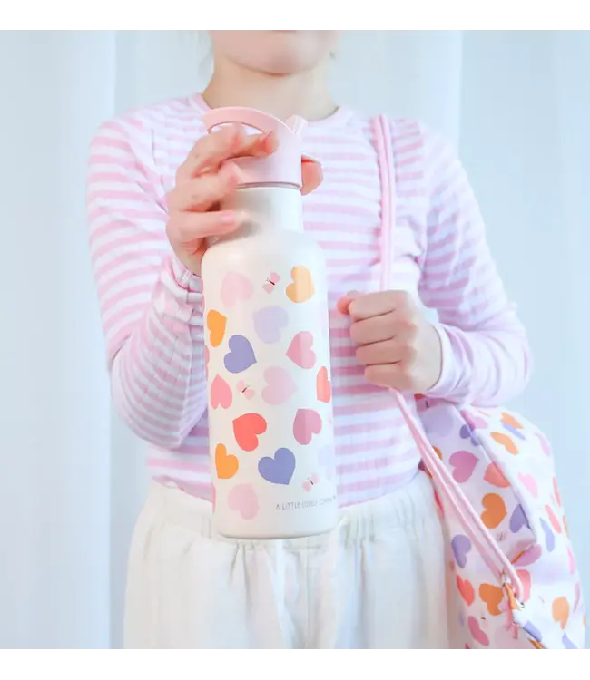 ALLC XL RVS drinkfles: Hartjes