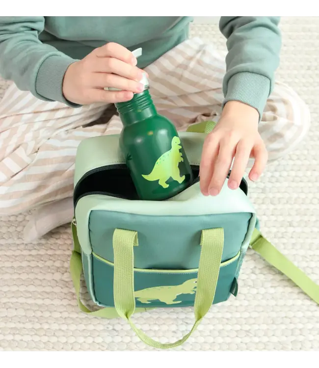 ALLC Kleine RVS drinkfles: Dinosaurus