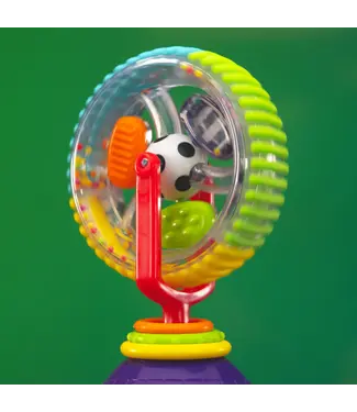 Sassy Wonder Wheel
