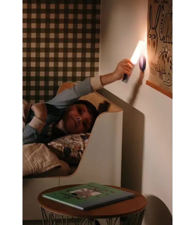 The Zoofamily Zoolight - Racoon