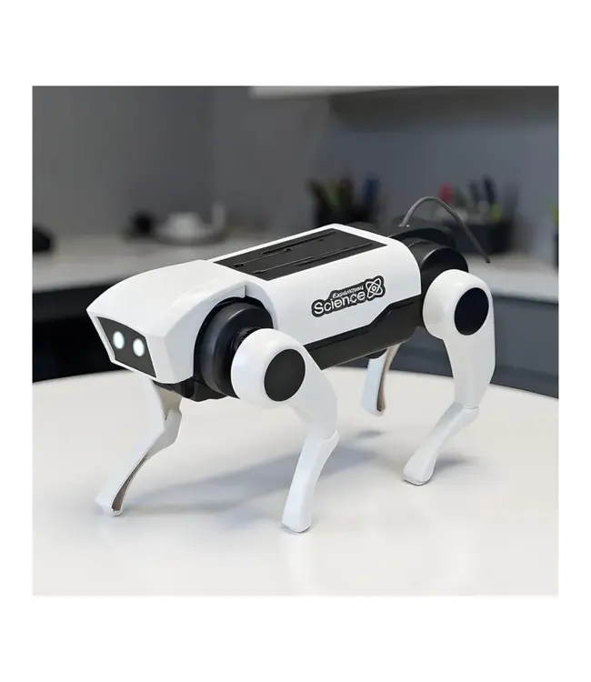 Satzuma DIY Robot Dog